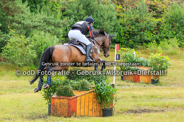 SGW Ede en Putten Paard Z 16-06-24