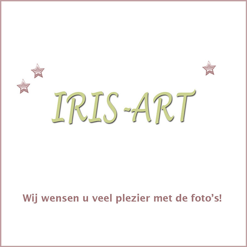 IRIS-ART