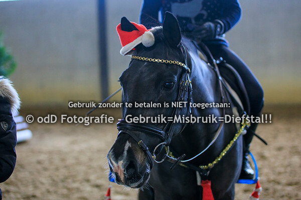 Kerstraining Margo van Nijnatten Groep 4 11.15