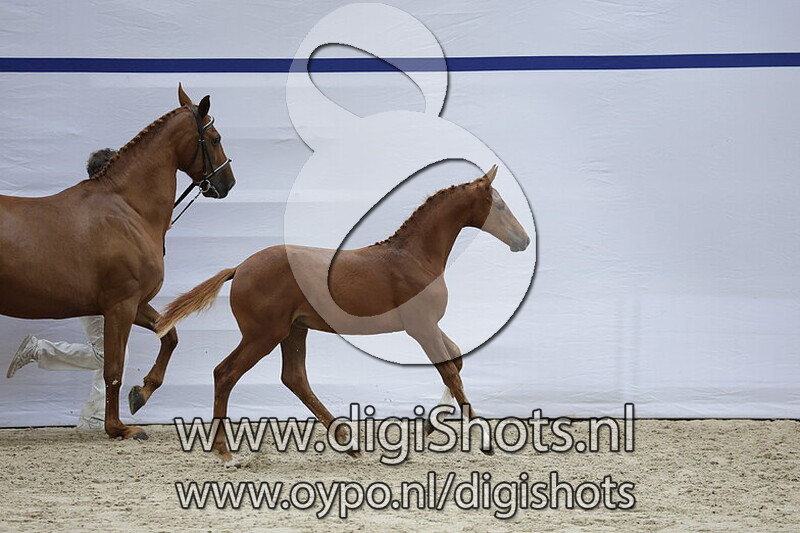 Vivianne v. Sambucci de Muze