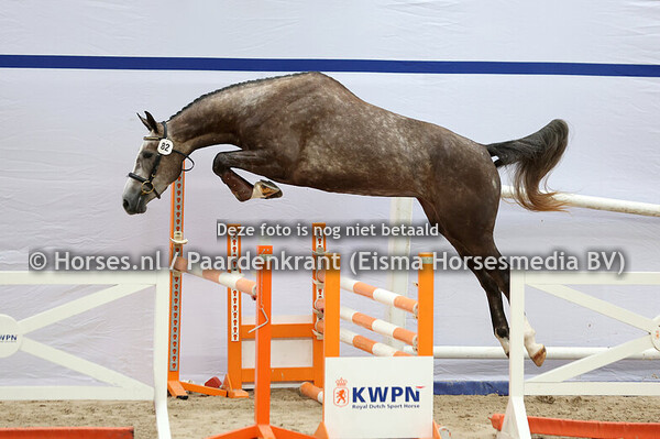 01-08-25 NMK springmerries