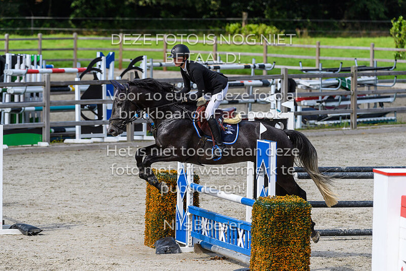 6 Paarden Klasse 100cm
