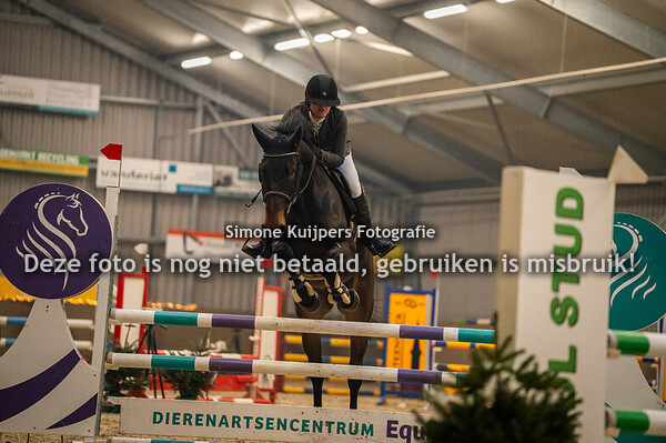 Paarden download/afdruk zonder logo