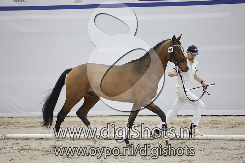 Pellegrino I&S v. Ibiza - 395