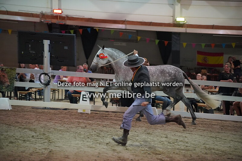 seccion 9 - yeguas de 5-6 anos