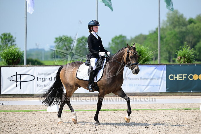 Bibi Luijk - Giant Bloemendael