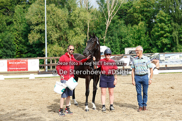 4. VROUWELIJKE JAARLINGEN DRESSUUR