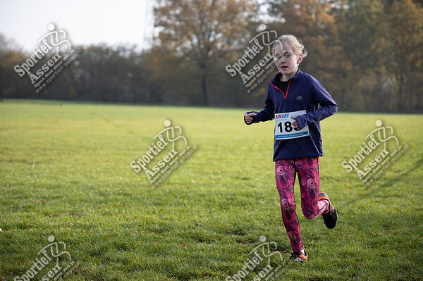 Baggelhuizercross 17 november 2019