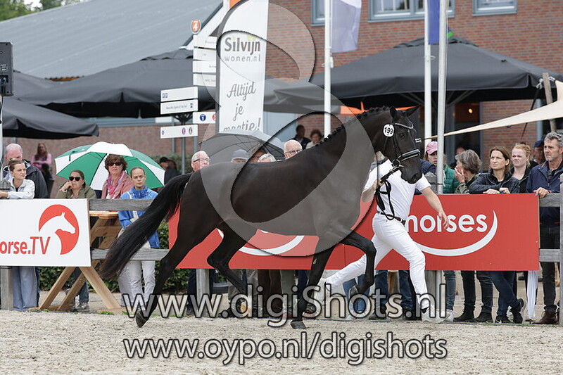 Senne Lena v. Total Hope