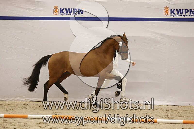 Saint McLaren SG v. McLaren