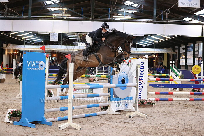 Rowen Jansen - Animo's Indiano