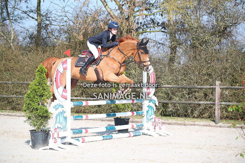 Stal Groenendaal springen paarden 09-03-2025 90 cm Stijl