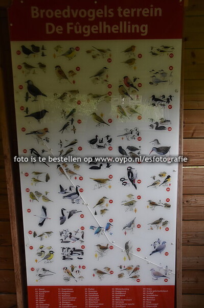 24-5-2025          Open dag  Fugelhelling