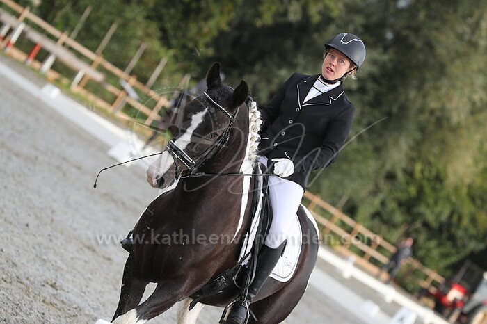 Willy Steenwijk - Clemens