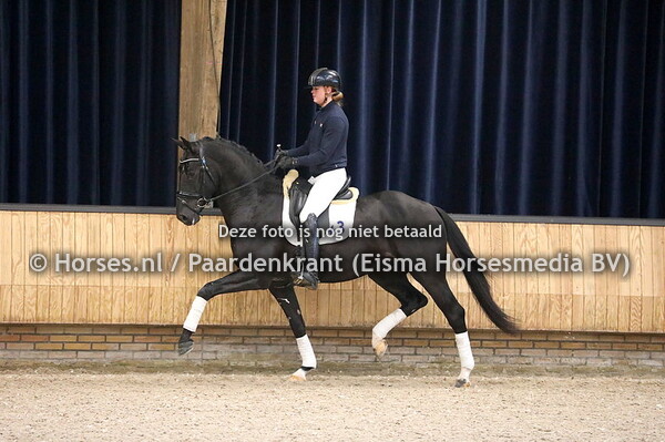 KWPN najaarsonderzoek 21-22 Dressuurhengsten ohz