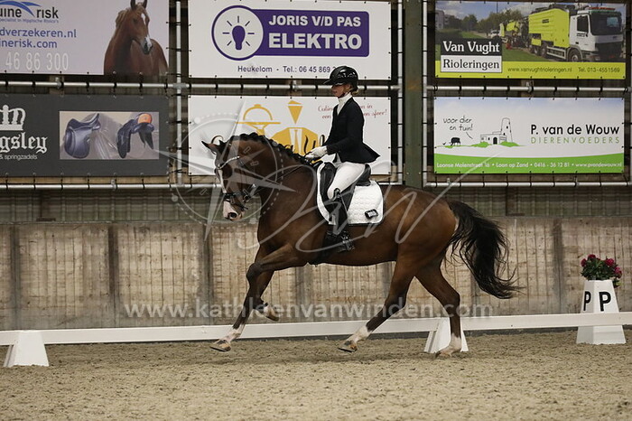 Ingrid Gerritsen - Neverwinter G