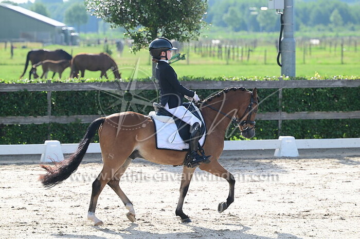 Lizzy Cloo - King Arthur