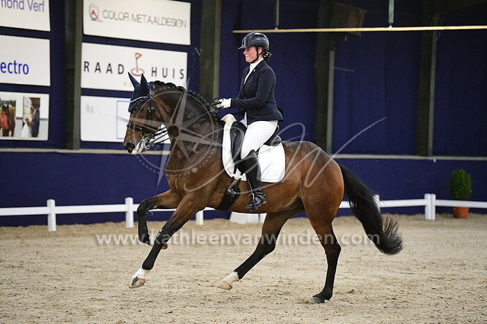 Aniek de Vlieger - Lexington