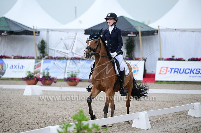 Anne ten Have - Lacota