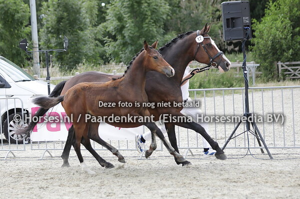 17 Sixth Sense (Livius x belinde v. oscar)