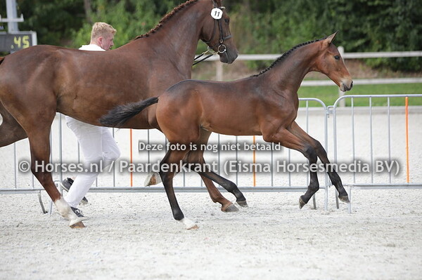 11 Smooth Criminal Z (Let's Dance x Myselly v. Zaelando)