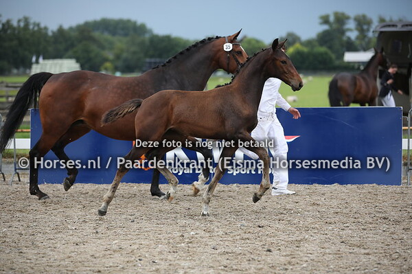 35 Omica_Worka (Hennessy x G. Worka v. Oscar)