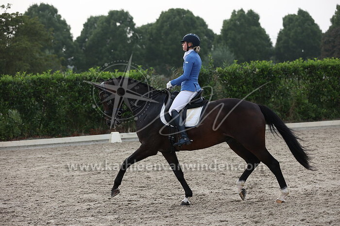 Jamie van der Woude - Iron