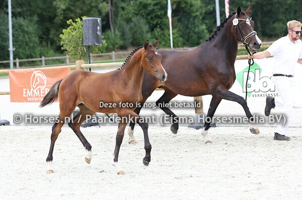 59 Victor-Vlam (One Million x Gabana v. Bretton Woods)