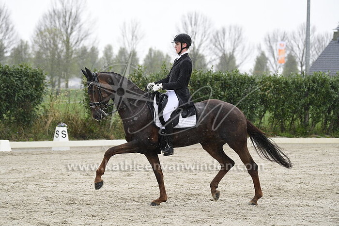 Boris van Giersbergen - Midsummer Indy