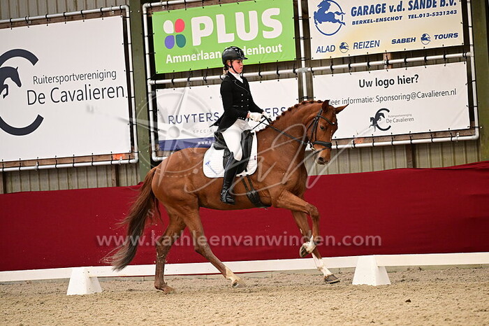 Noor Brokx - Rosie VR