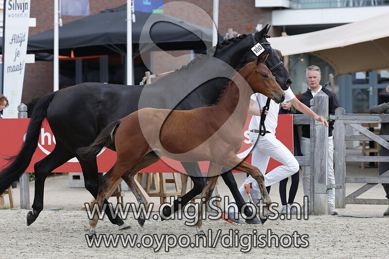 Vision VK v. McLaren