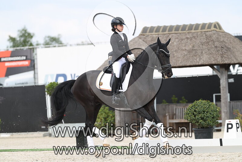 Reliv van t Amaryllishof