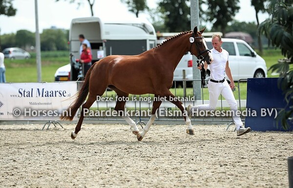 74 Kado Rieta Corieta Texel (Governor x Rieta Corieta v. Burggraaf)