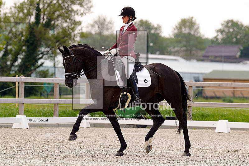 29 & 30 -5 Dressuur Hillegom