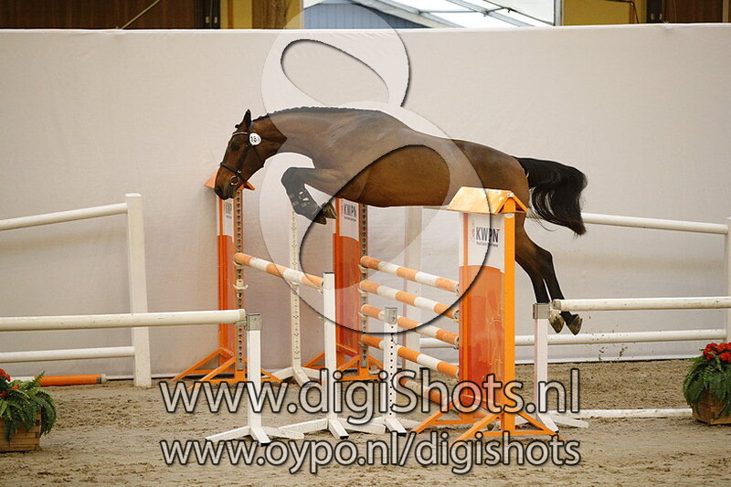 181 Hannibal Style VK Z v. Heineken