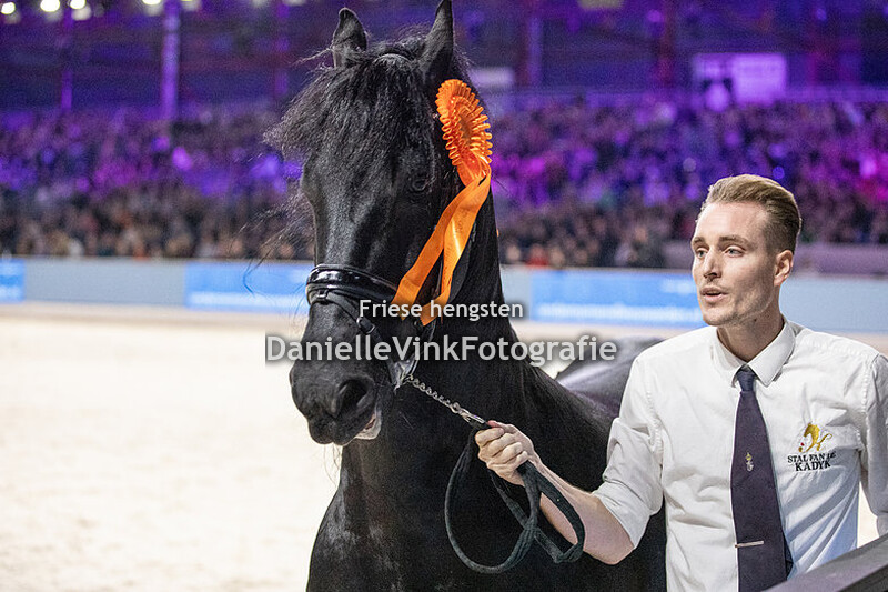 Hengstenkeuring 2024 Teun 505