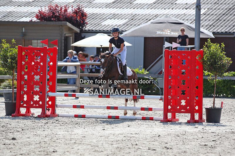 Zilfia's Hoeve springen pony's 04-06-2023 40/50/60/70/80 cm