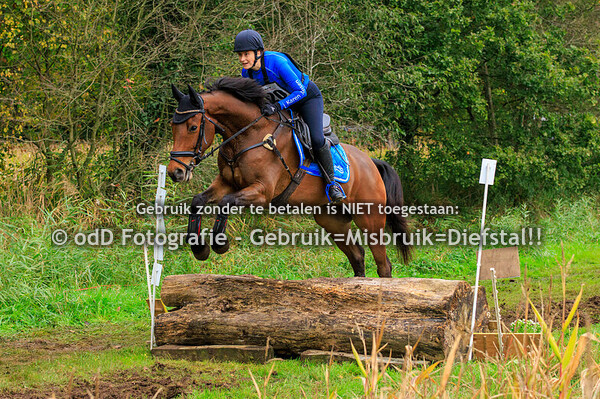 Eventing Diepenheim Paarden BB 20-10-24