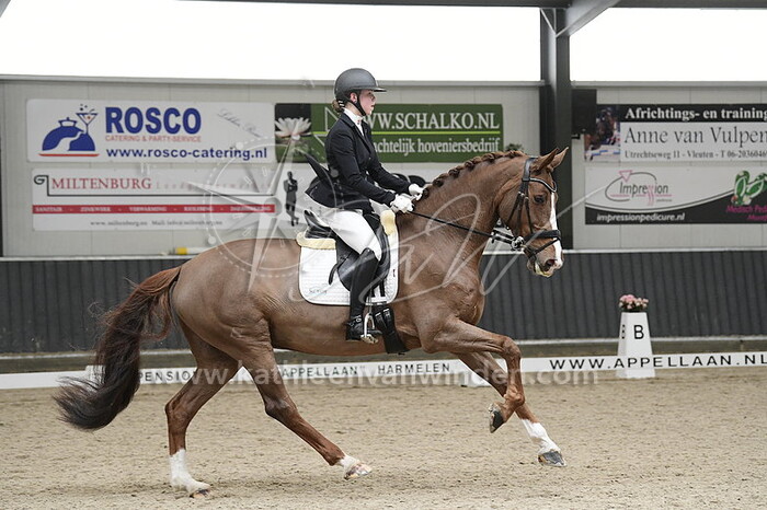 Mirthe Willig - Just Biantoes