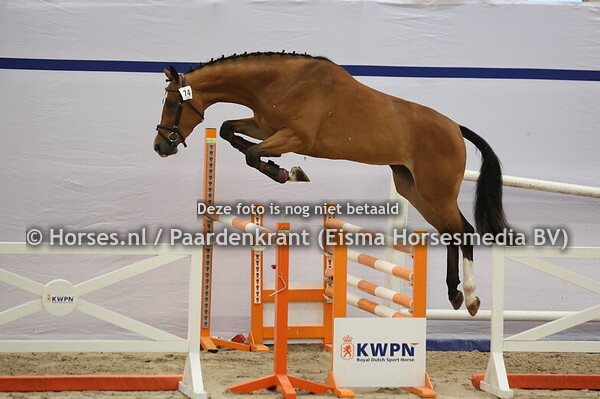 74 Sera fan e Five (Grand Slam x Zera v. Sharaton)