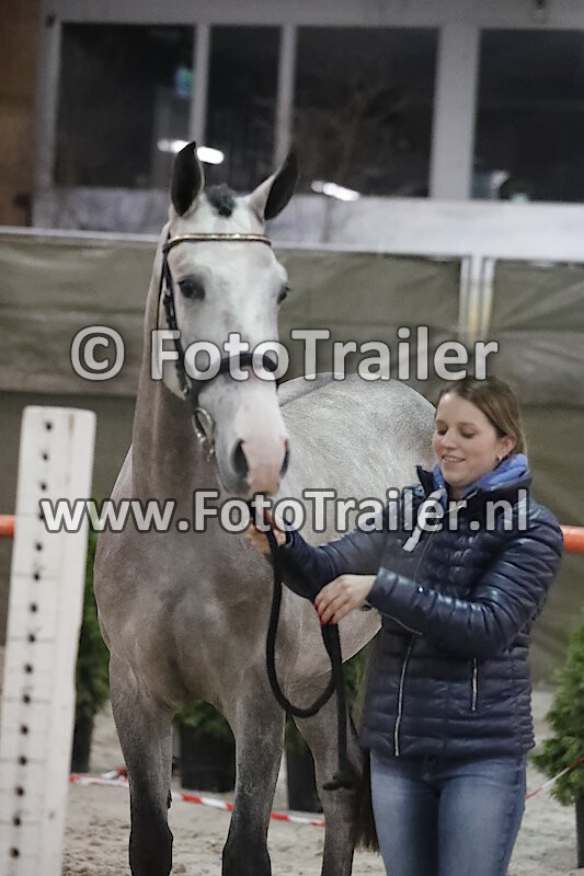 968 - Alaska van de Groenhoeve Z