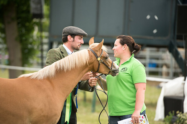 Regionalschau Rheinland 
