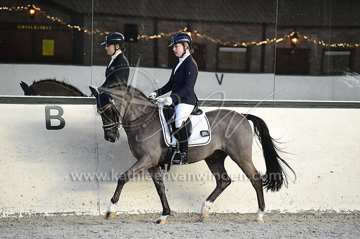 Sara Holleman - King Stayerhof's Jango