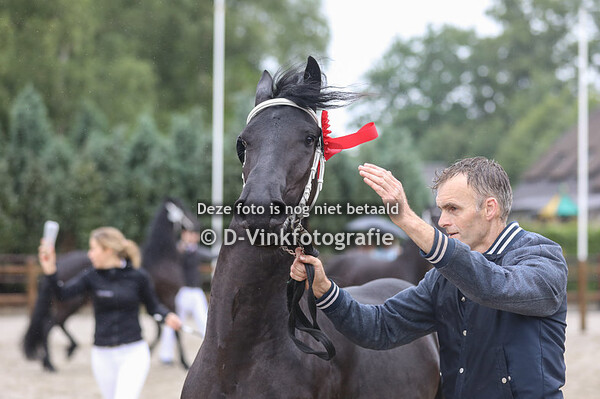 75. Rikst fan de Greidpleats