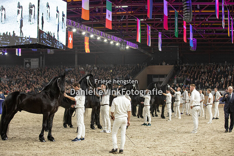 Hengstenkeuring 2023 Arent 515