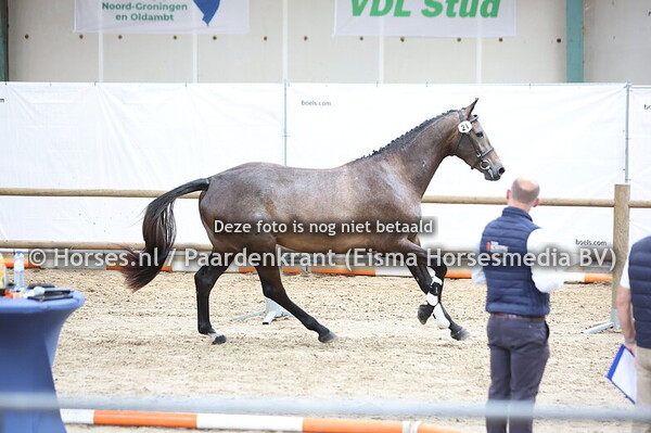 21 Seldina (Avenger Z x keldina v. El Clarimo)