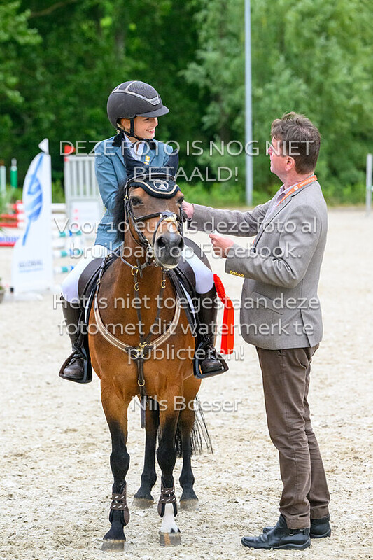 5 Klassiek pony's 0.70-0.80 cm cat. ABC MB-ZB