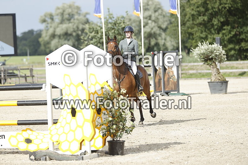 anke marije de vries