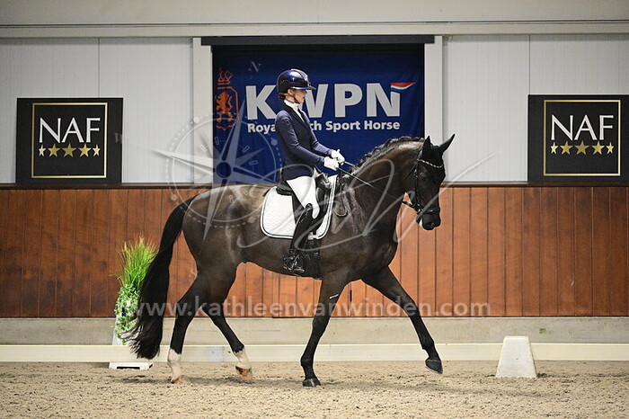 Annelijn Buth - Perfect Boy