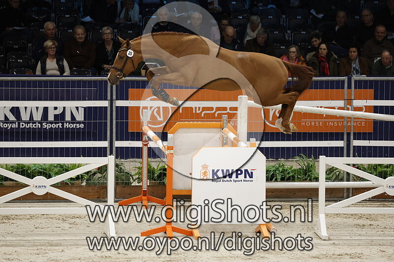 Cognac Vh Gebergte Z v. Chacco Blue - 025